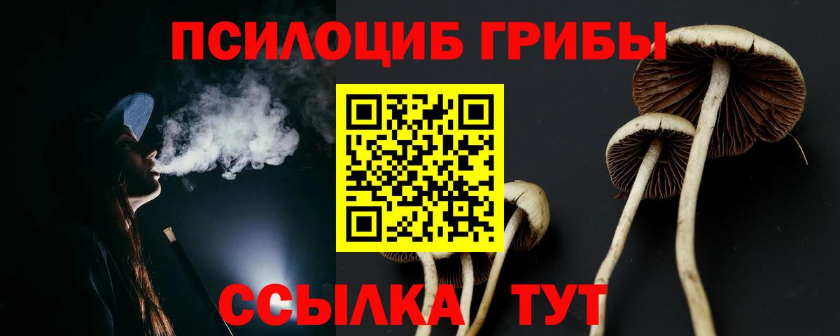Псилоцибиновые грибы мицелий  Псилоцибиновые грибы MAGIC MUSHROOMS  Вход с VPN  купить закладку  Шали 